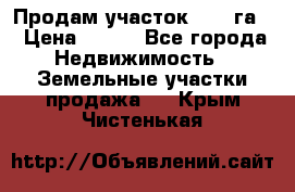 Продам участок 2,05 га. › Цена ­ 190 - Все города Недвижимость » Земельные участки продажа   . Крым,Чистенькая